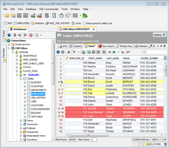 Imagen 2 para DbVisualizer