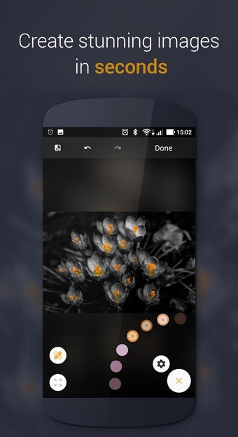 Imagen 3 para Paletta - Smart color spl…