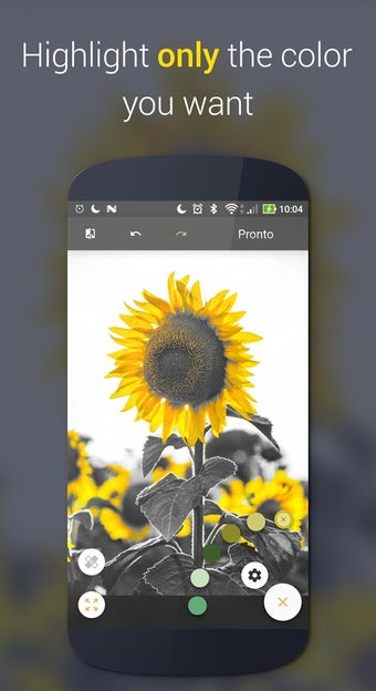 Imagen 0 para Paletta - Smart color spl…
