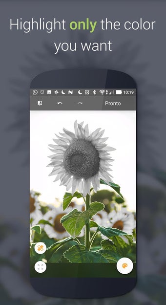 Imagen 1 para Paletta - Smart color spl…