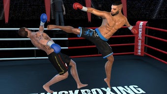 Imagen 2 para Kickboxing 2 - Fighting C…