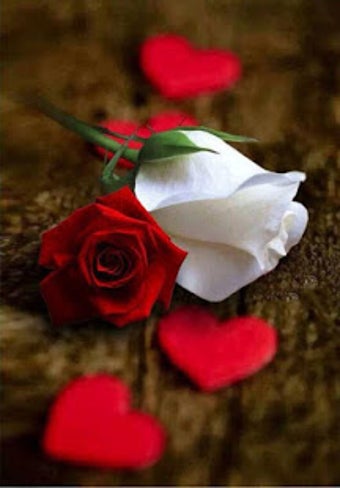 Image 1 for Flowers Gifs And Roses Li…