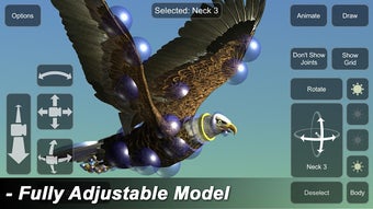 Image 1 for Eagle Mannequin