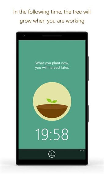 Image 1 for Forest: Stay focused, be …