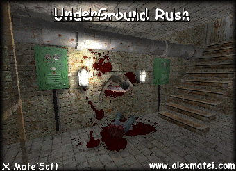 Imagen 2 para UnderGround Rush Demo