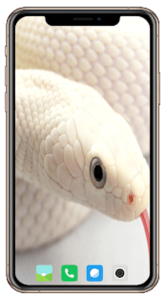 Image 0 for Snake Wallpaper