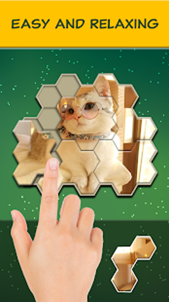 Image 0 for Jigsaw Hexa Block