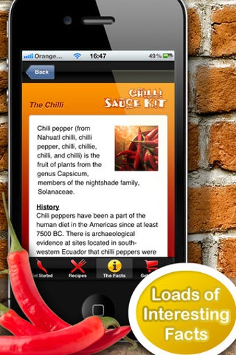 Image 0 for Chilli Sauce Kit