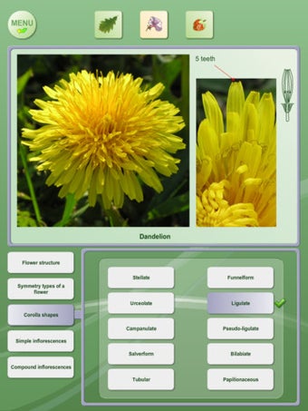Imagen 0 para Biology - Plant handbook …