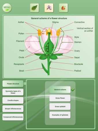 Imagen 1 para Biology - Plant handbook …