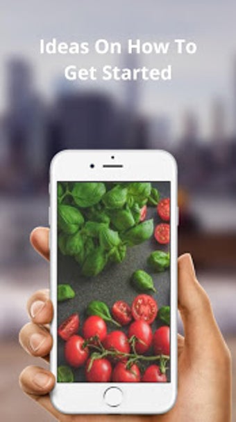 Image 0 for THE MEDITERRANEAN DIET