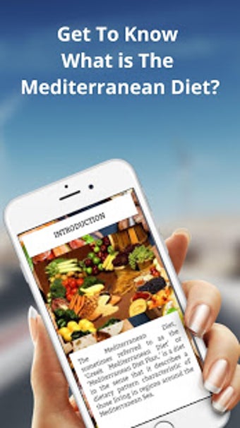 Image 2 for THE MEDITERRANEAN DIET