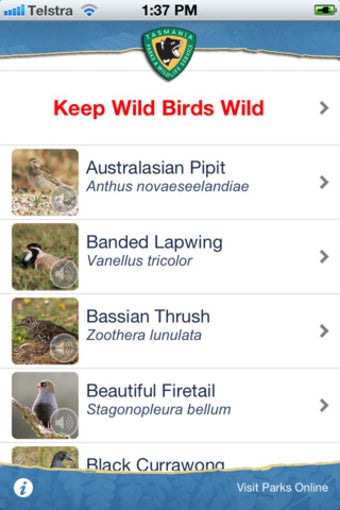 Imagen 0 para Bird in the Hand