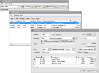 Image 0 for Yorako Erp XI
