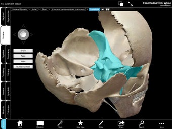 Imagen 3 para Human Anatomy Atlas SP