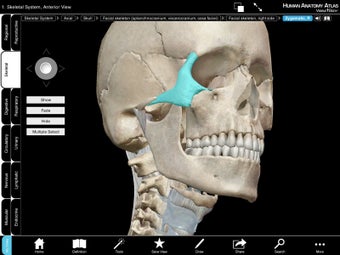 Imagen 4 para Human Anatomy Atlas SP