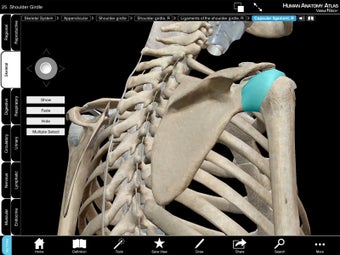 Imagen 4 para Human Anatomy Atlas SP