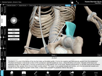 Imagen 2 para Human Anatomy Atlas SP