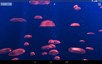 Image 0 for Jellyfishes 3D live wallp…