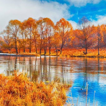 Imagen 2 para Nature Jigsaw Puzzles