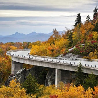 Imagen 1 para Nature Jigsaw Puzzles