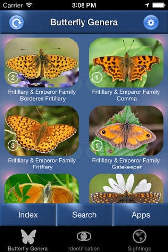 Image 0 for Butterfly Id - The Britis…