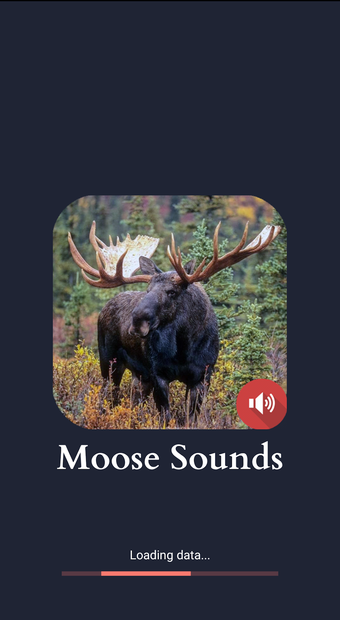 Image 0 for Moose Sounds