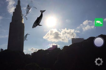 Image 2 for Whale Camera