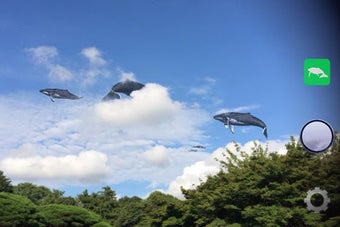 Image 1 for Whale Camera