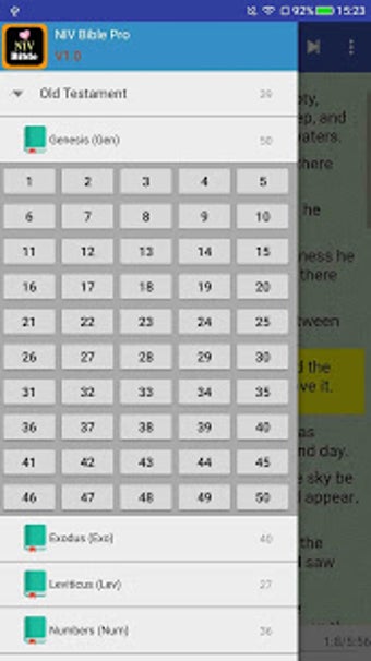 Imagen 0 para New International Version…