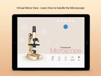 Imagen 0 para Compound Microscope