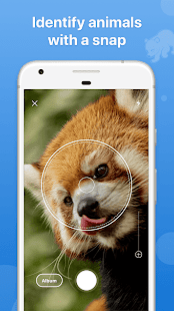 Image 2 for Picture Animal - Animal I…