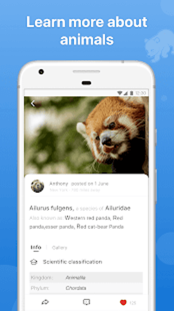 Image 3 for Picture Animal - Animal I…