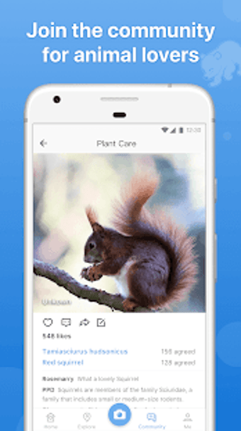 Image 0 for Picture Animal - Animal I…