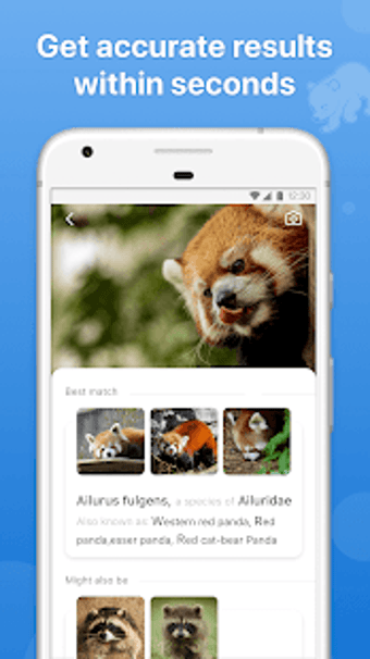 Image 1 for Picture Animal - Animal I…