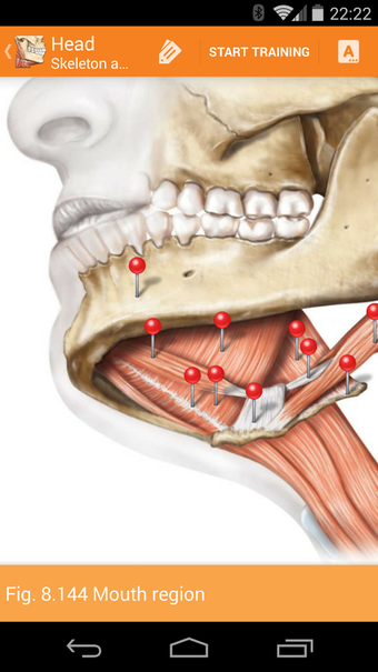 Image 1 for Sobotta Anatomy Atlas