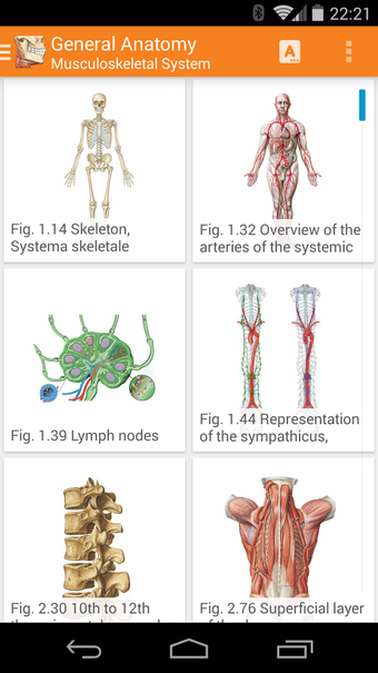 Image 2 for Sobotta Anatomy Atlas