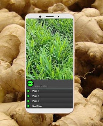 Image 0 for Complete Ginger Cultivati…