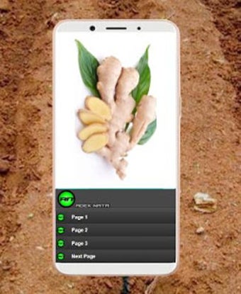 Image 1 for Complete Ginger Cultivati…