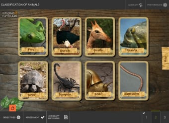 Image 1 for Classification of Animals
