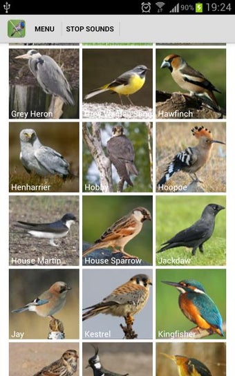 Image 2 for UK Birds Sounds Free