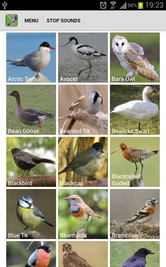 Image 3 for UK Birds Sounds Free