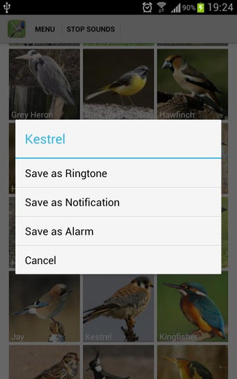 Image 1 for UK Birds Sounds Free
