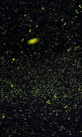 Imagen 6 para Fireflies Live Wallpaper