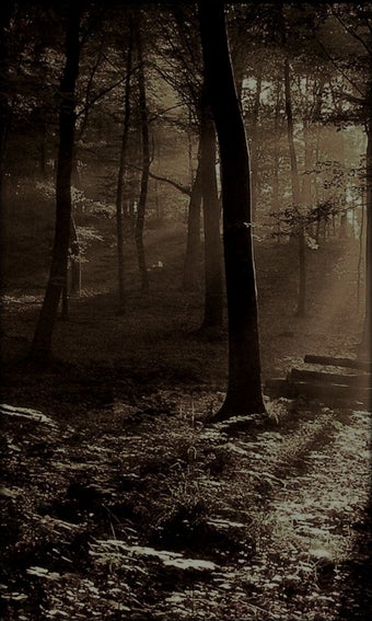 Imagen 3 para Fireflies Live Wallpaper