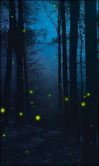 Imagen 8 para Fireflies Live Wallpaper