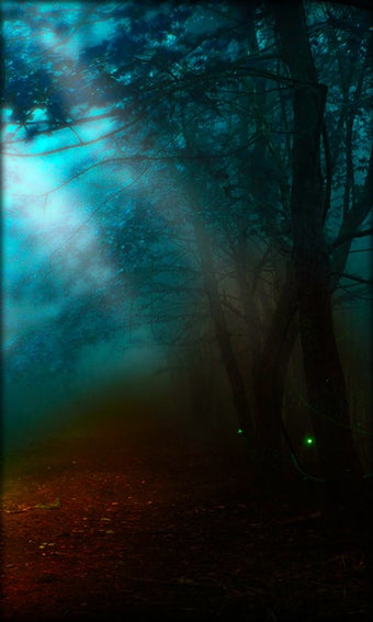 Imagen 5 para Fireflies Live Wallpaper