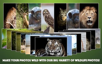 Imagen 1 para Wild Animal Photo Frames