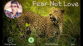 Imagen 2 para Wild Animal Photo Frames
