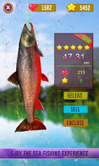 Image 0 for Pocket Fishing Adventure …